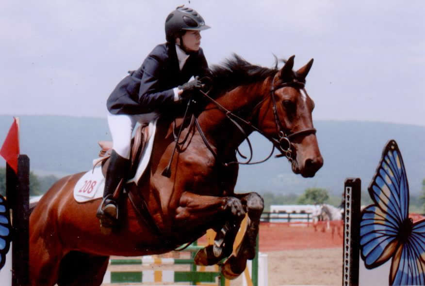 Alden and Pimpernel