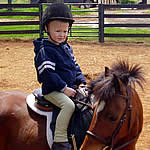 Josh and Skittles learning to ride!